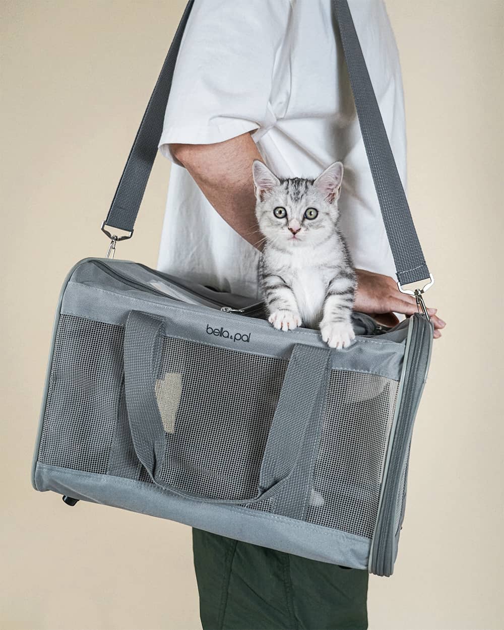Portable Pet Travel Carrier - Smoky Grey