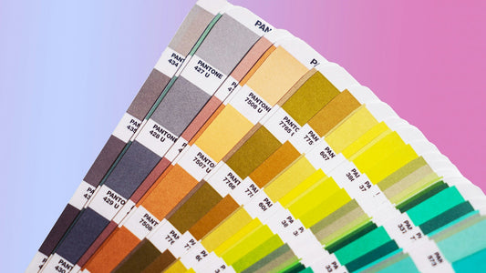 2024 Pet Gear Trends: Embracing Vibrant Hues and Timeless Classics