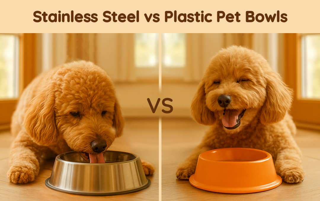 Stainless Steel vs Plastic Pet Bowls: What’s Best for Your Furry Friend?