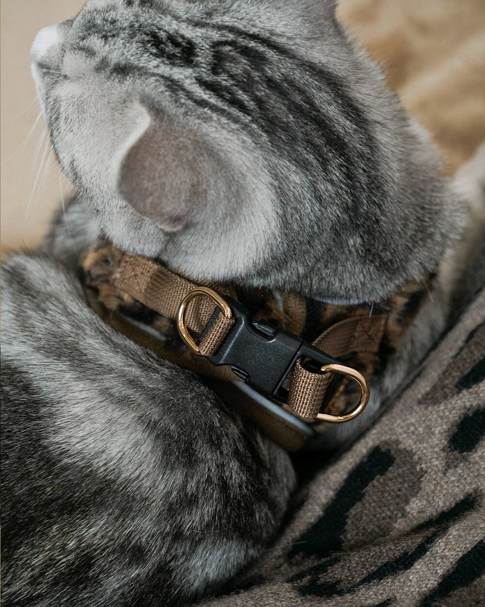 OxyMesh Velcro Step-in Harness Set - Wild Brown Leopard