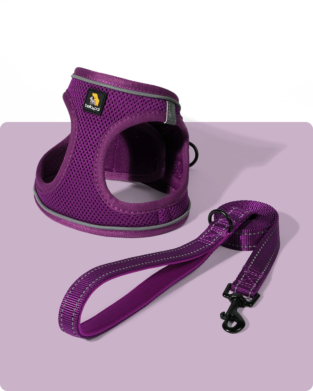 OxyMesh Velcro Step-in Harness and Leash Set - Grape - stringsmall