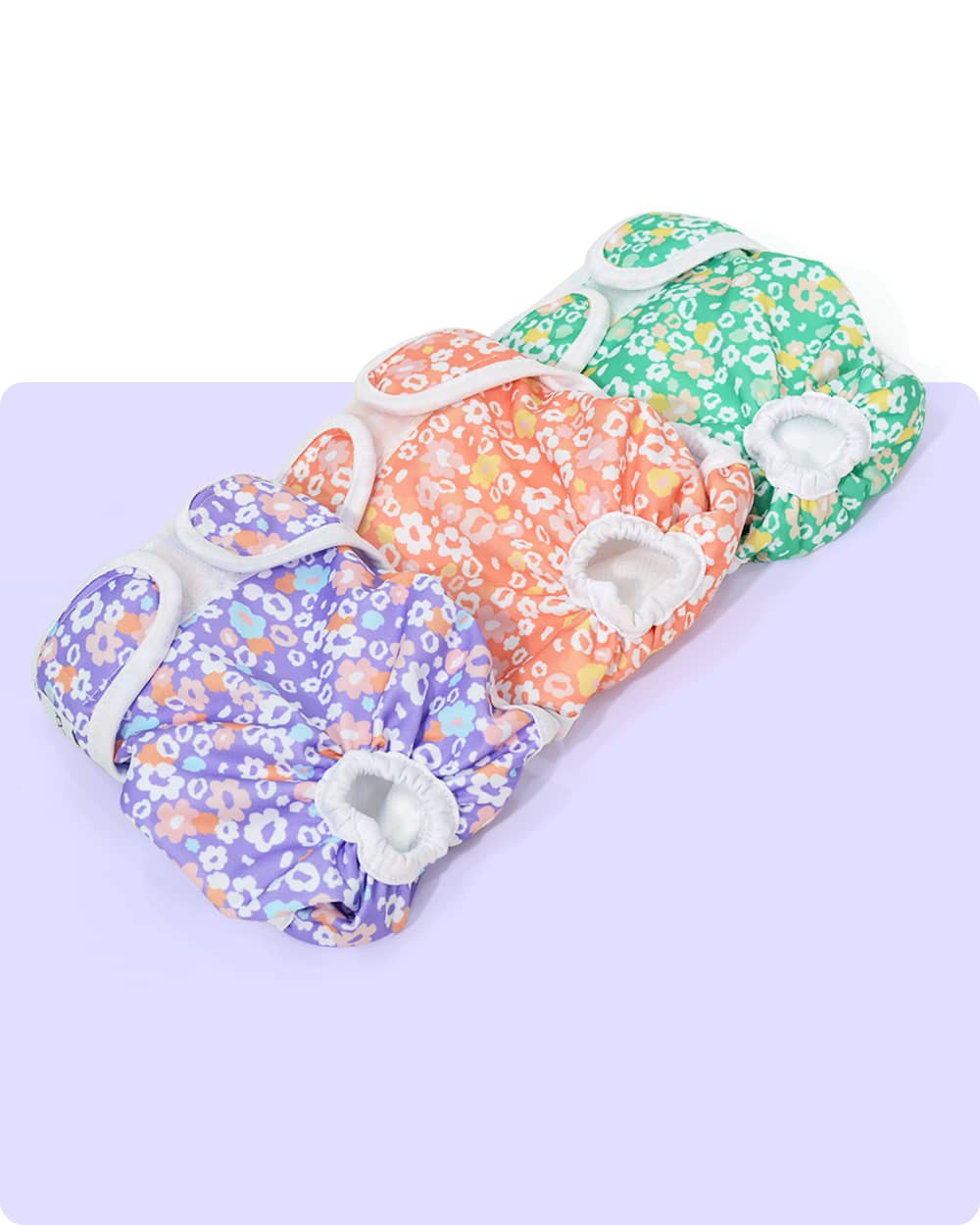Washable Female Dog Diaper Set - Garden Breeze - stringsmall
