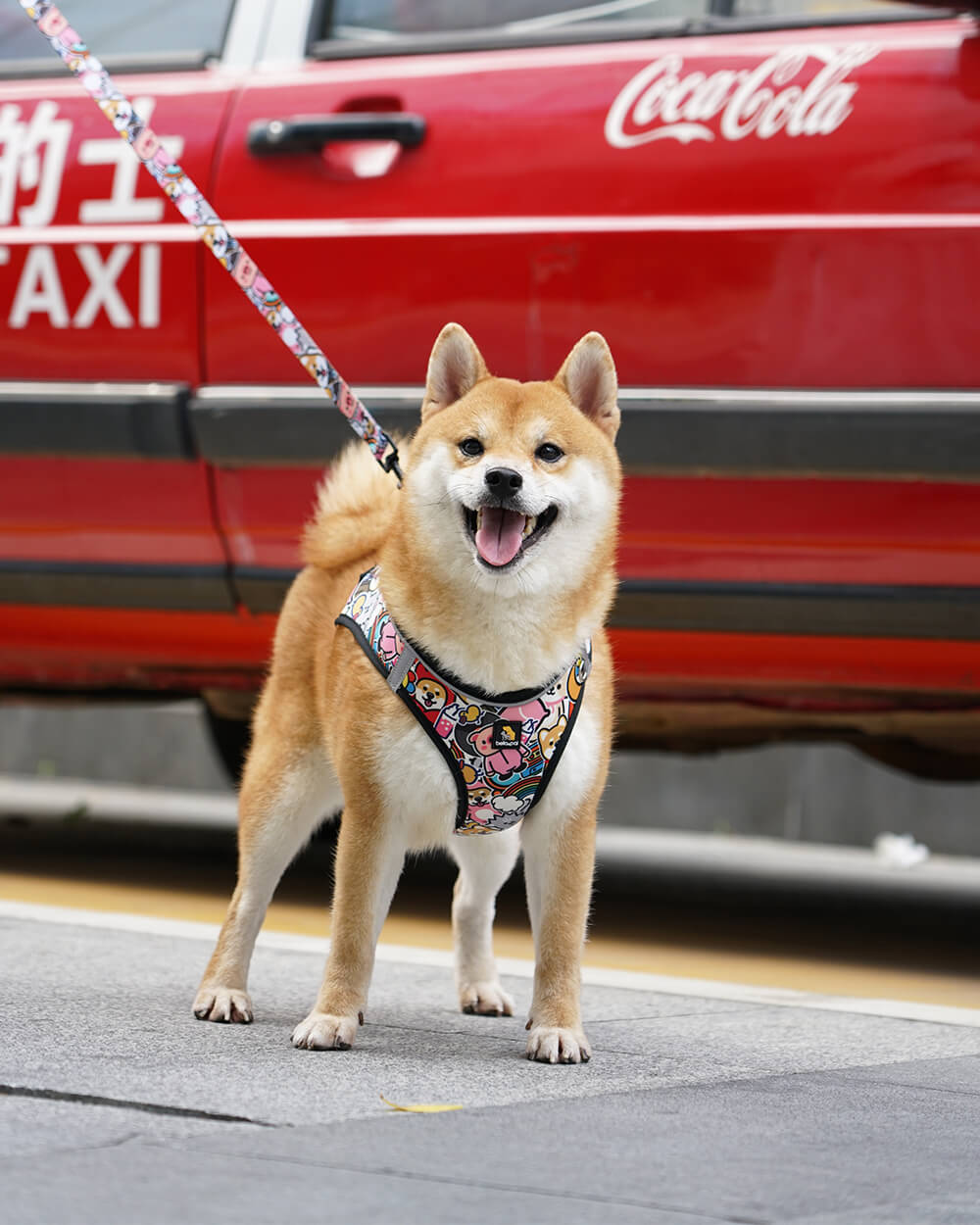 Bella & Pal × PJai & Friends OxyMesh Velcro Step-in Harness Set - Cuddle Club