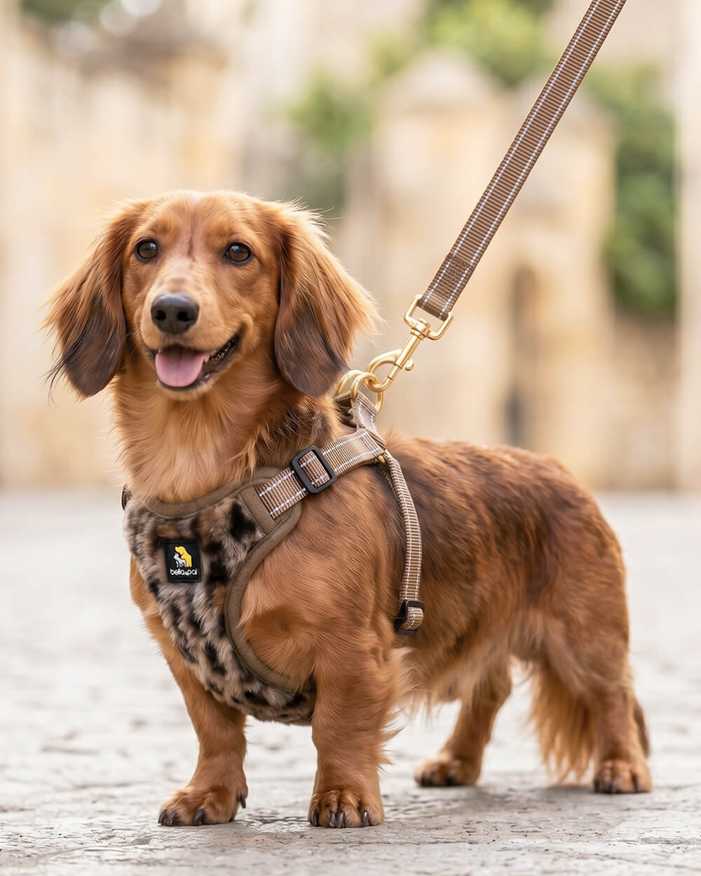 OxyMesh Flexi Step-in Harness and Leash Set - Wild Brown Leopard
