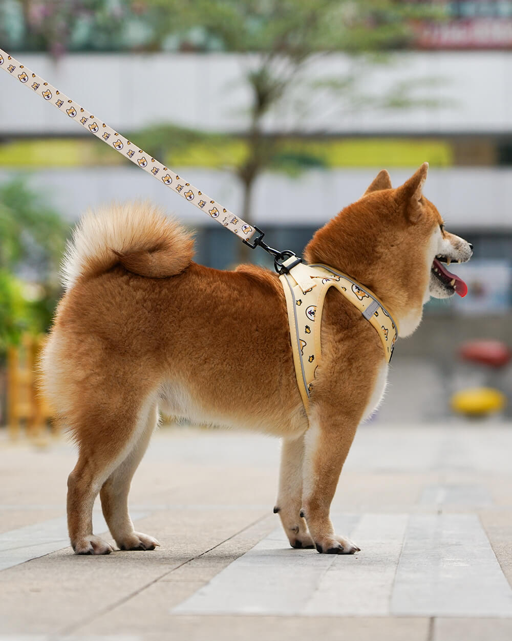 Bella & Pal × PJai & Friends OxyMesh Velcro Step-in Harness Set - Genki Shiba