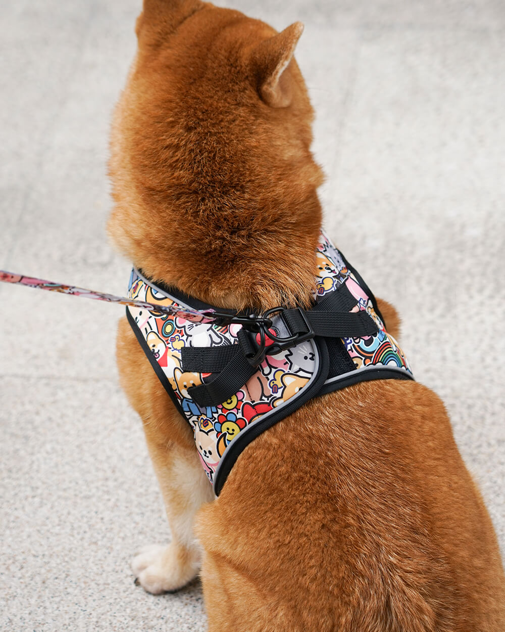 Bella & Pal × PJai & Friends OxyMesh Velcro Step-in Harness Set - Cuddle Club