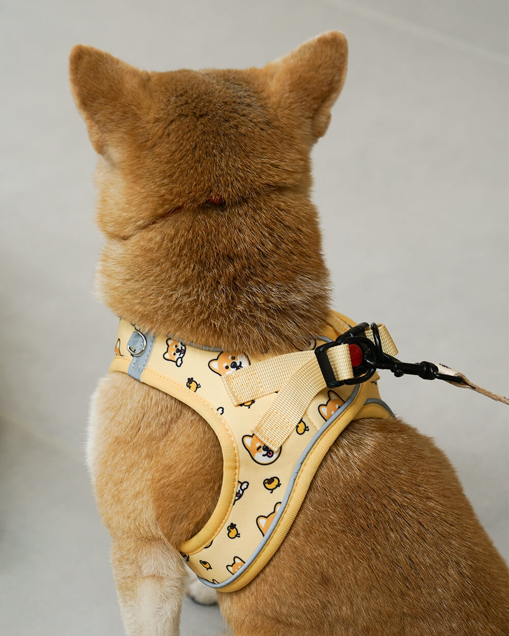 Bella & Pal × PJai & Friends OxyMesh Velcro Step-in Harness Set - Genki Shiba