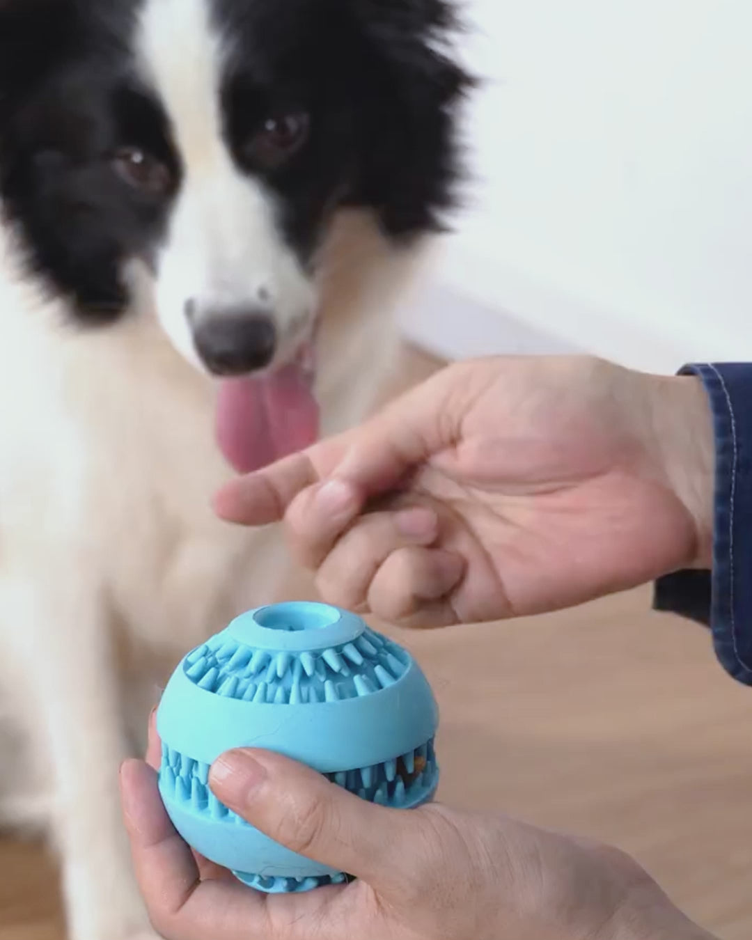 トリートディスペンサー犬用おもちゃ - ラバーボール