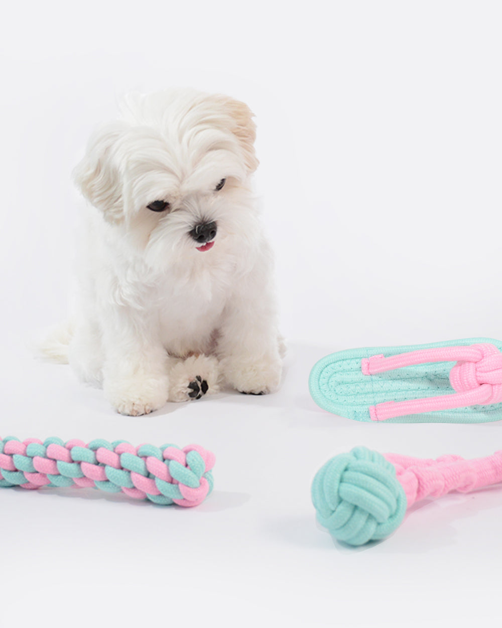 綿の犬の噛むおもちゃセット - 3 パック