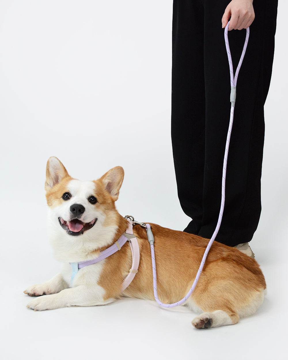 反射ロープ犬用リード - オーロラ