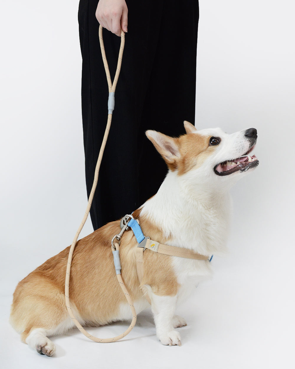 反射ロープ犬用リード - サンドビーチ