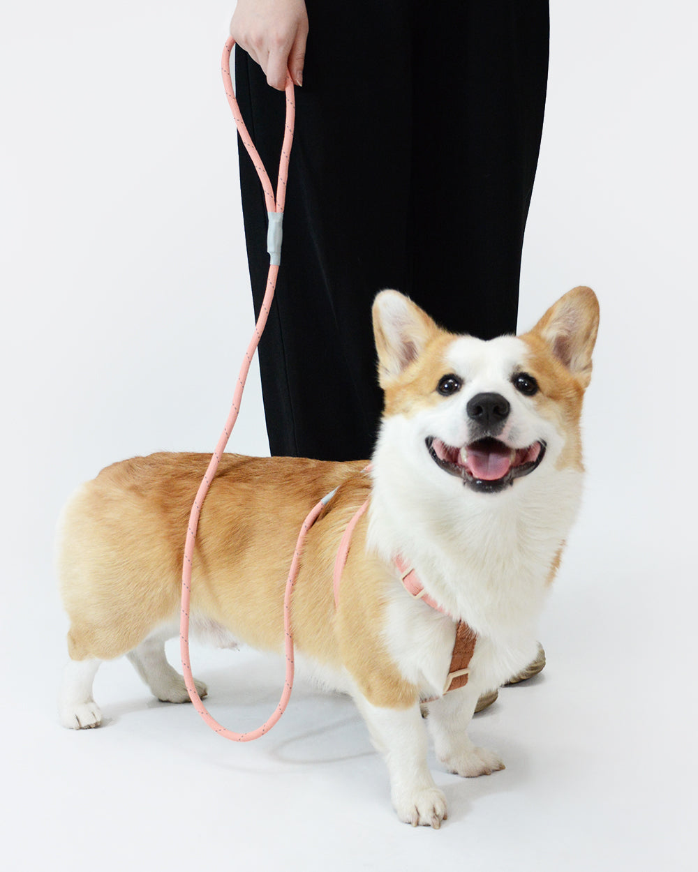 反射ロープ犬用リード - ニホンジカ