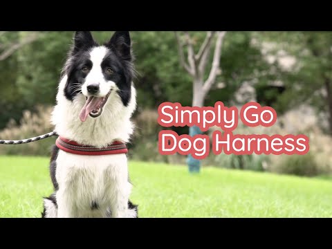 Simply Go ステップイン犬用ハーネス - バイオレット